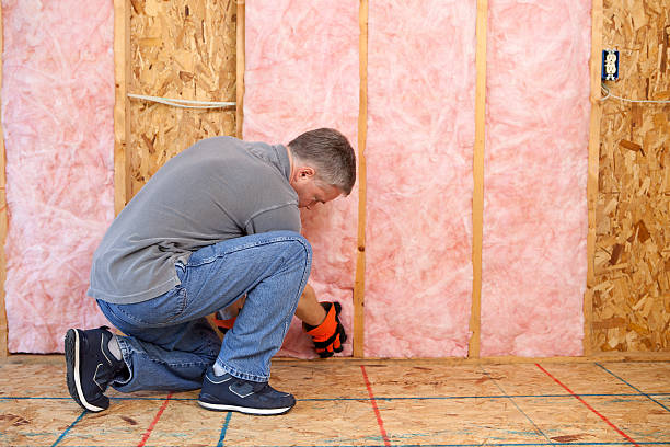 Best Residential Insulation in Broadview, IL